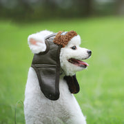 Dog Leather Cap