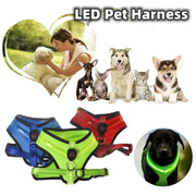 LED Luminous Dog Harness – USB Rechargeable Reflective Safety Vest for Small & Large Dogs