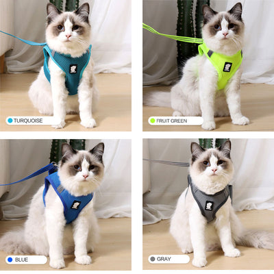 Anti-Strike Cat Harness – Breathable Mesh Walking Vest with Leash for Cats