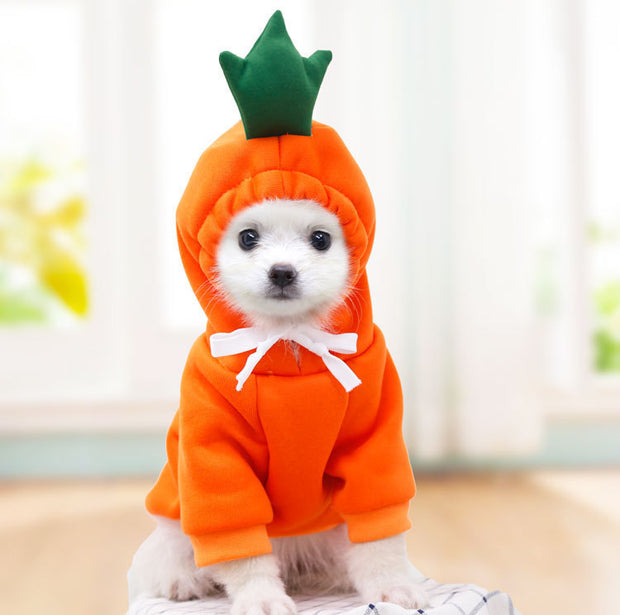 Cute Fruit Dog Hoodie – Warm Fleece Winter Coat for Small Dogs & Cats