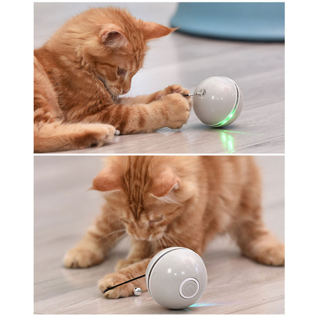 USB LED Laser Cat Ball – Interactive Feather & Bell Toy