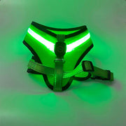 LED Luminous Dog Harness – USB Rechargeable Reflective Safety Vest for Small & Large Dogs
