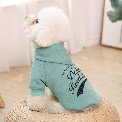 Casual Cotton Pet Sweater