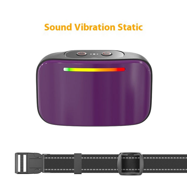 Automatic Voice Control Bark Stopper