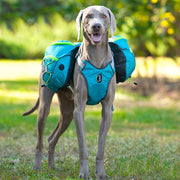 Detachable Dog Travel Backpack