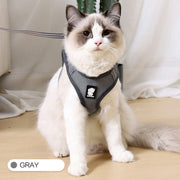 Anti-Strike Cat Harness – Breathable Mesh Walking Vest with Leash for Cats