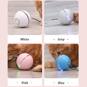 USB LED Laser Cat Ball – Interactive Feather & Bell Toy