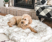 Cozy Dog Mat – Plush Washable Pet Cushion