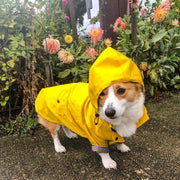 Dog Raincoat – Waterproof Pet Clothes for Dogs