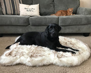 Cozy Dog Mat – Plush Washable Pet Cushion