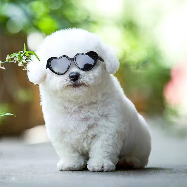 Doll Sunglasses – Cute Pet Toy Accessories for Cats & Small Dogs