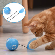 USB LED Laser Cat Ball – Interactive Feather & Bell Toy