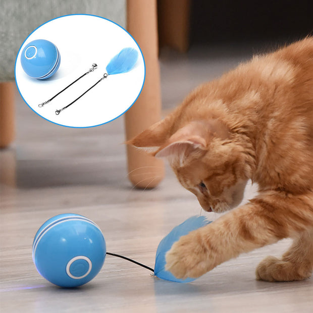 USB LED Laser Cat Ball – Interactive Feather & Bell Toy