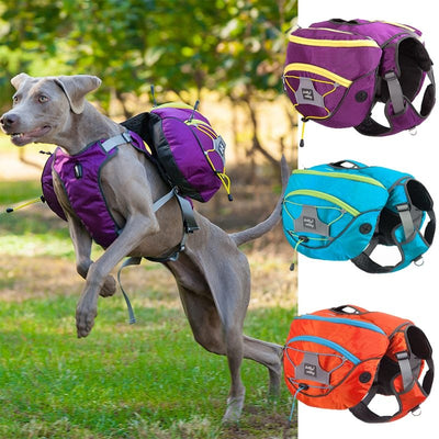 Detachable Dog Travel Backpack