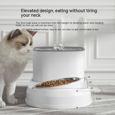The Mindful Mutt – Automatic Cat Water Feeder Bowl