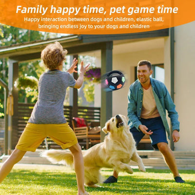 Durable Football & Tennis Ball Dog Toy – Squeaky Teething Relief