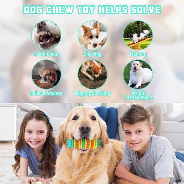 Durable Rubber Dog Chew Toy – Aggressive Chewers