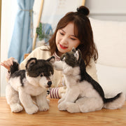 New Labrador Doll Plush Toy Puppy