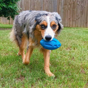 Indestructible Squeaky Dog Toy for Aggressive Chewers | Durable Natural Rubber Ball