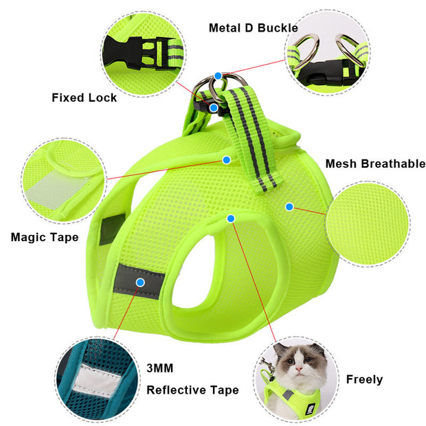 Anti-Strike Cat Harness – Breathable Mesh Walking Vest with Leash for Cats
