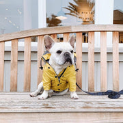 Dog Raincoat – Waterproof Pet Clothes for Dogs