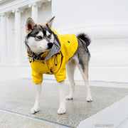 Dog Raincoat – Waterproof Pet Clothes for Dogs