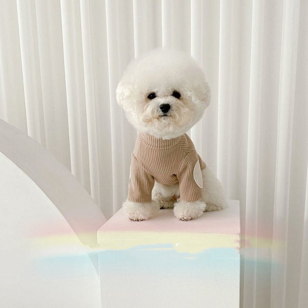 Casual Pet Clothes for Dogs & Cats