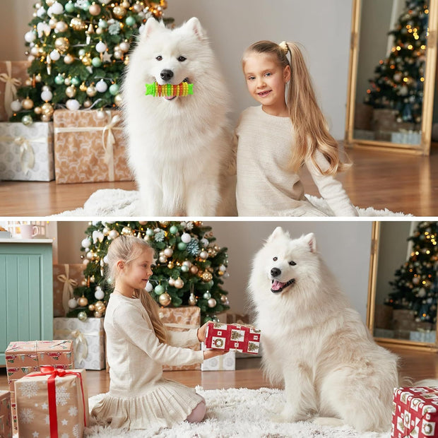 Durable Rubber Dog Chew Toy – Aggressive Chewers