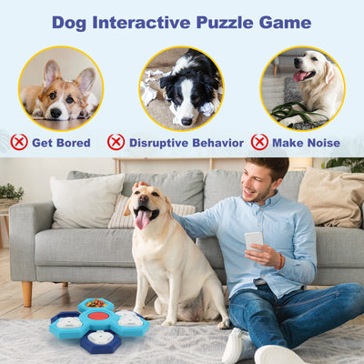 Slow Feeder Puzzle Dog Bowl - 4 Layer Interactive