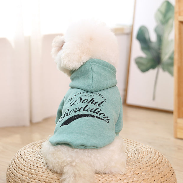 Casual Cotton Pet Sweater