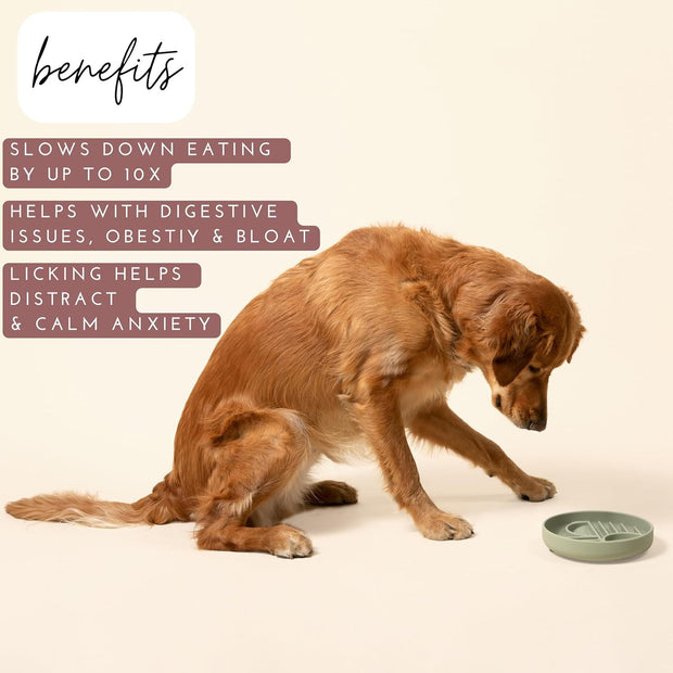 The Slowdown Bowl™ – Silicone Slow Feeder Dog Bowl | Anti-Gulp