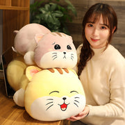 Chubby Cat Pillow Soft Stuffed Plush Toy.