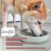 The Slowdown Bowl™ – Silicone Slow Feeder Dog Bowl | Anti-Gulp