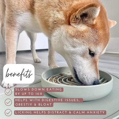 The Slowdown Bowl™ – Silicone Slow Feeder Dog Bowl | Anti-Gulp