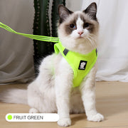 Anti-Strike Cat Harness – Breathable Mesh Walking Vest with Leash for Cats
