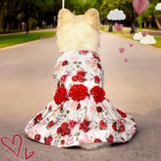 Cute Pet Skirt for Dogs & Cats