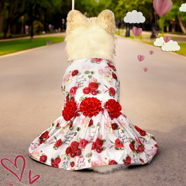 Cute Pet Skirt for Dogs & Cats