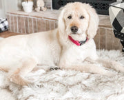 Cozy Dog Mat – Plush Washable Pet Cushion