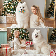 Durable Rubber Dog Chew Toy – Aggressive Chewers