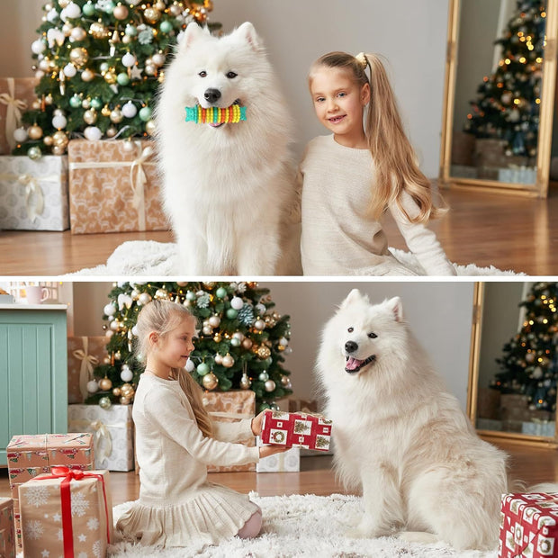 Durable Rubber Dog Chew Toy – Aggressive Chewers