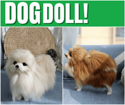 Plush toy dog doll