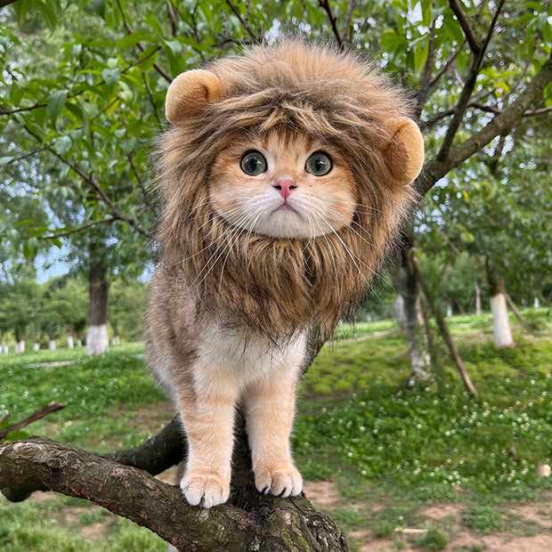 Funny Pet Hat – Lion, Rabbit, Frog & Bear Headgear for Cats & Dogs