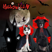Halloween Pet Costumes – Vampire & Witch Cloaks for Cats and Dogs