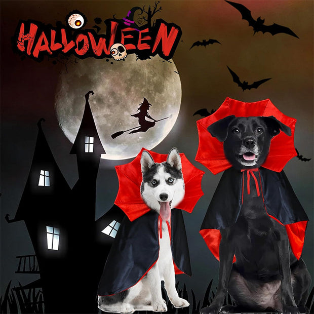 Halloween Pet Costumes – Vampire & Witch Cloaks for Cats and Dogs