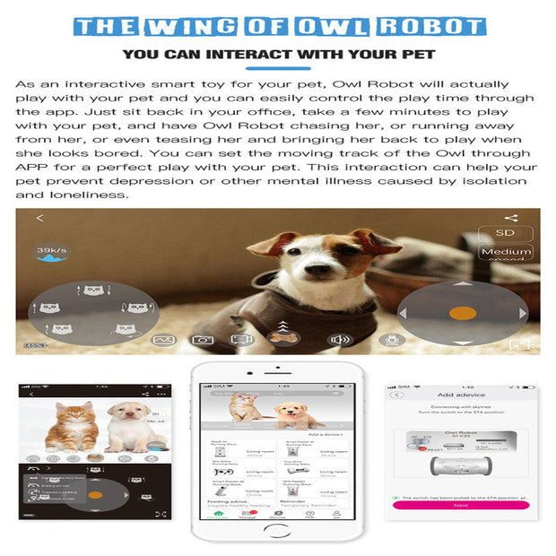 Interactive Owl Pet Toy – Moving Robot with Snack Dispenser, Sound & Camera