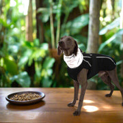 Pet Dog Clothes Thickened Dog Cotton Clothes Outdoor Waterproof Dog Clothes Jacket Vest Pet Supplies