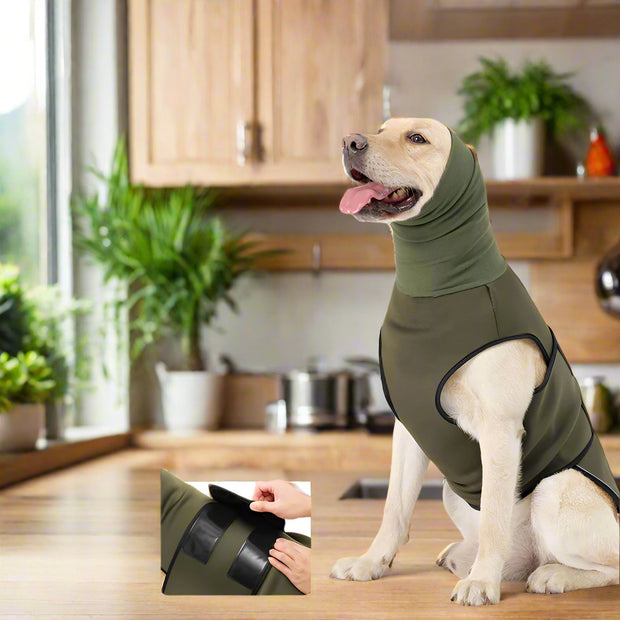 New Pet Products Dog Emotional Comfort Clothing Second Generation Upgrade One-time Dual-purpose Dog Anxiety Jacket