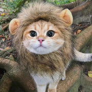 Funny Pet Hat – Lion, Rabbit, Frog & Bear Headgear for Cats & Dogs