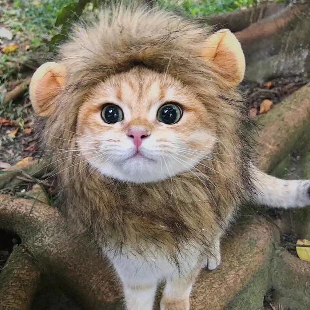 Funny Pet Hat – Lion, Rabbit, Frog & Bear Headgear for Cats & Dogs