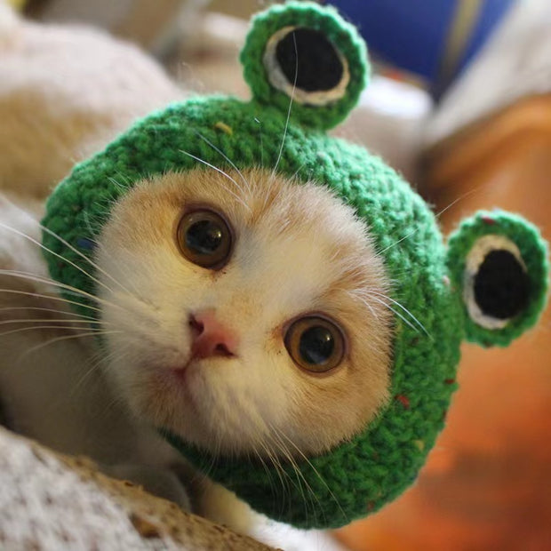 Funny Pet Hat – Lion, Rabbit, Frog & Bear Headgear for Cats & Dogs